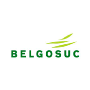 Belgosuc